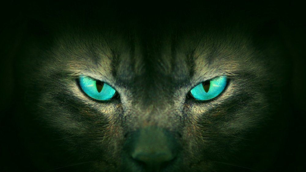 Кошачий глаз