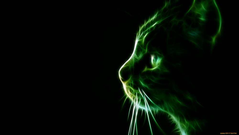 Кошка на зеленом фоне