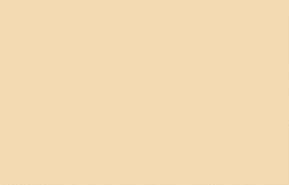 Loymina Shade sd2-009