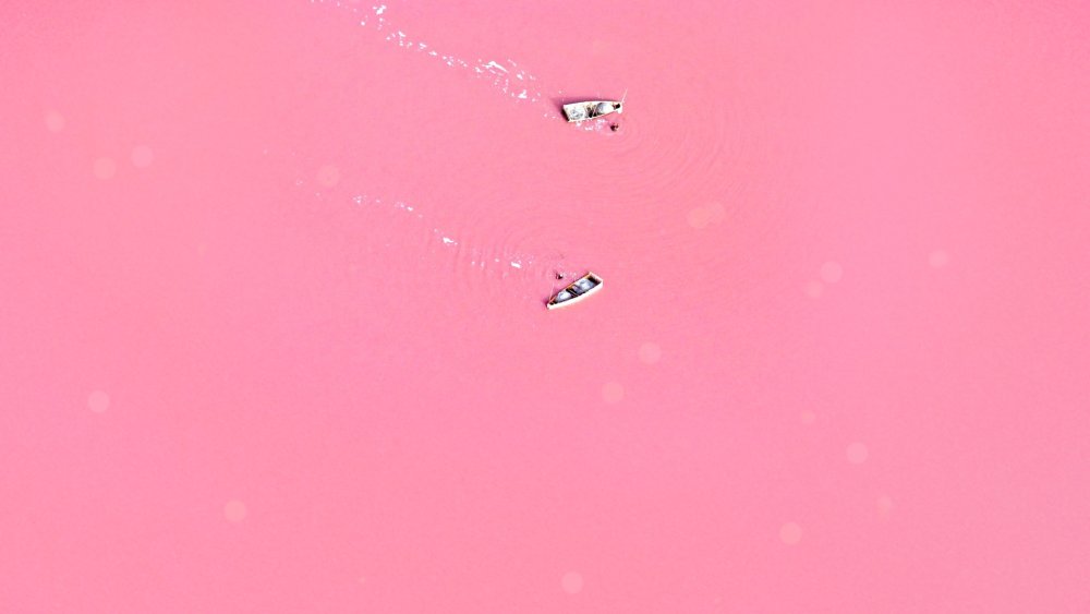 Розовый фон для рабочего стола