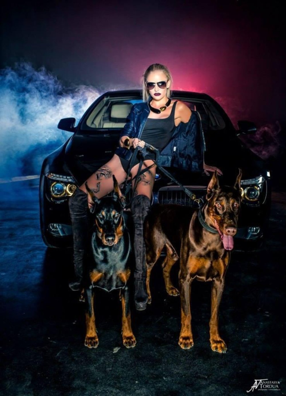 Доберман питбуль овчарка