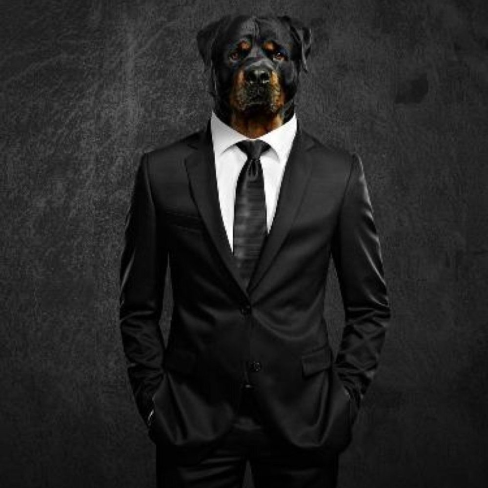 Собака в смокинге