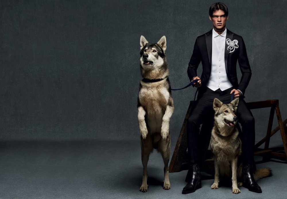 Фотосессия мужчина с собакой