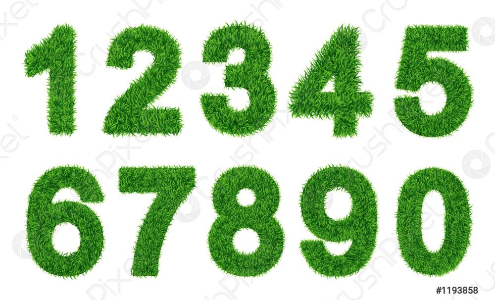 Цифры из травы