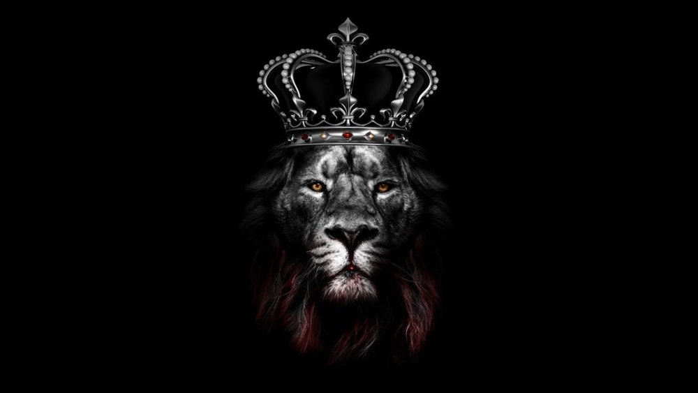 Голова Льва на черном фоне