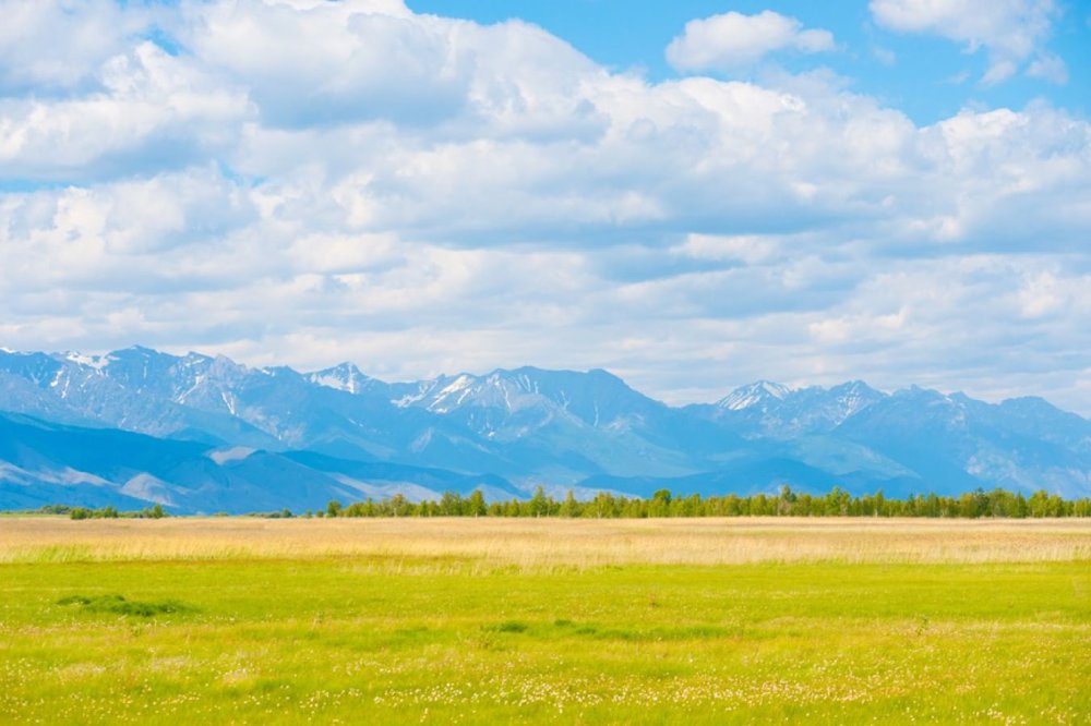 Баргузинская Долина летом