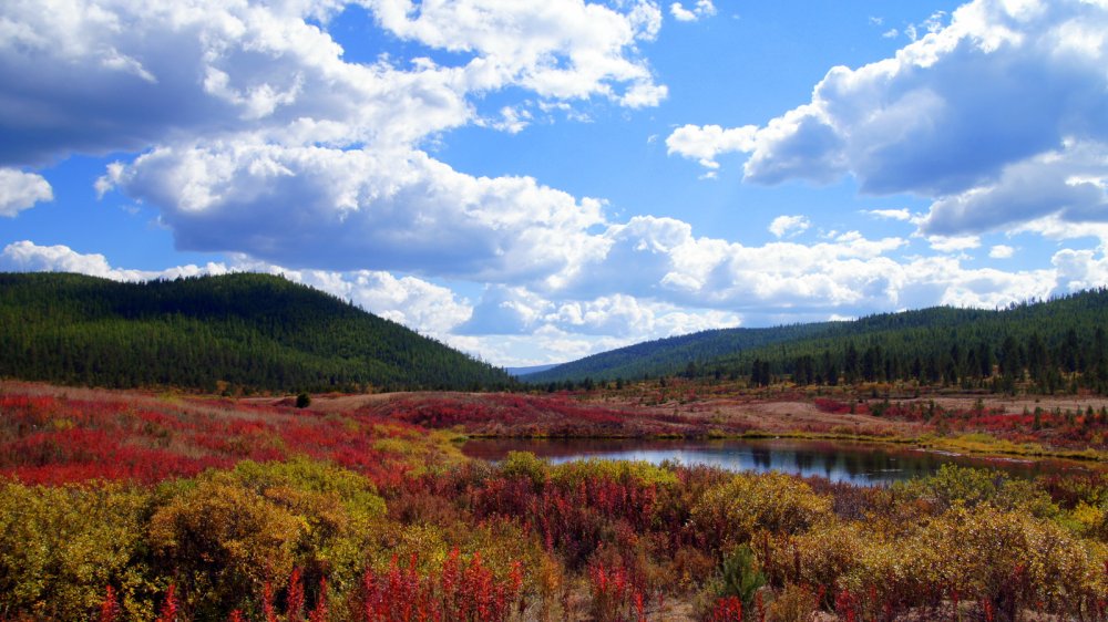 Бурятия Улан-Удэ природа