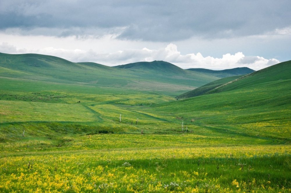 Даурия сопки Забайкалья