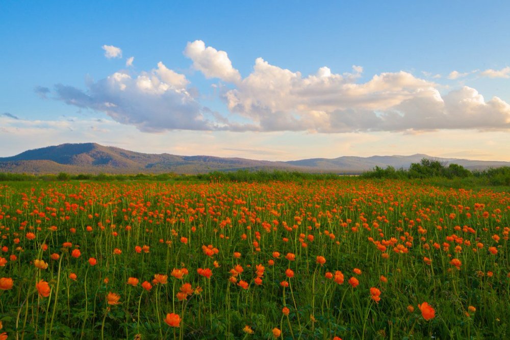 Степи Бурятии