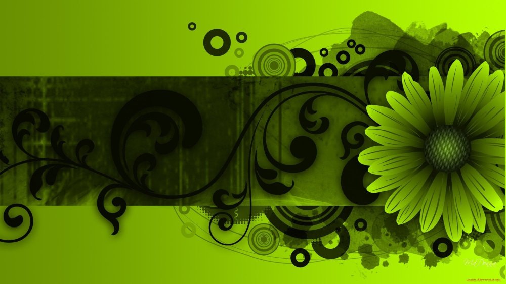 Фон для визитной карточки мастера