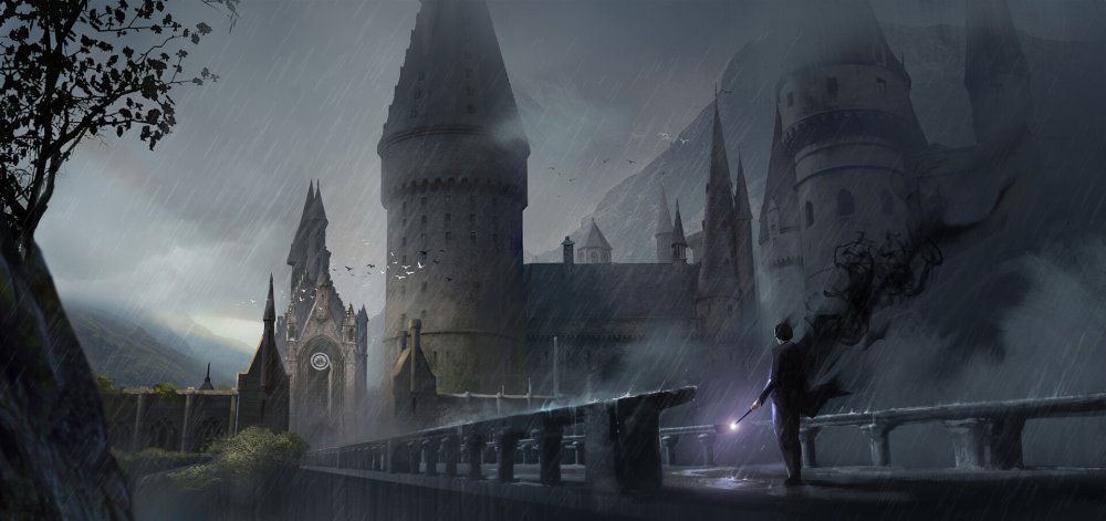 Гарри Поттер битва за Хогвартс арт