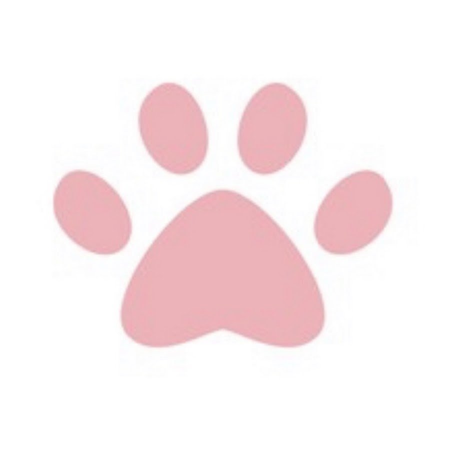 Розовые лапки на белом фоне