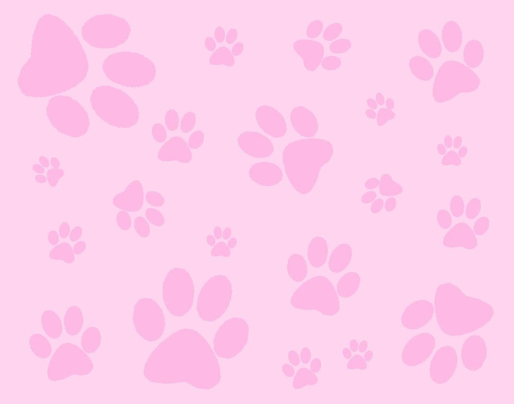 Обои hello Kitty Louis Vuitton