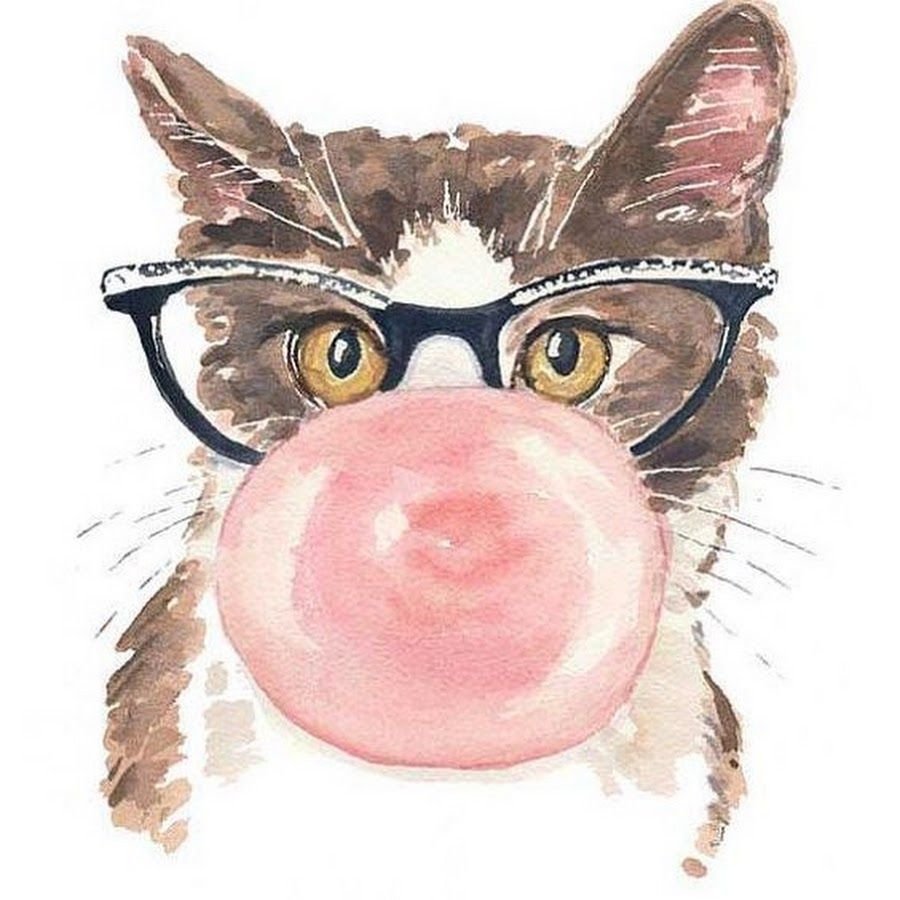 Кот с жвачкой