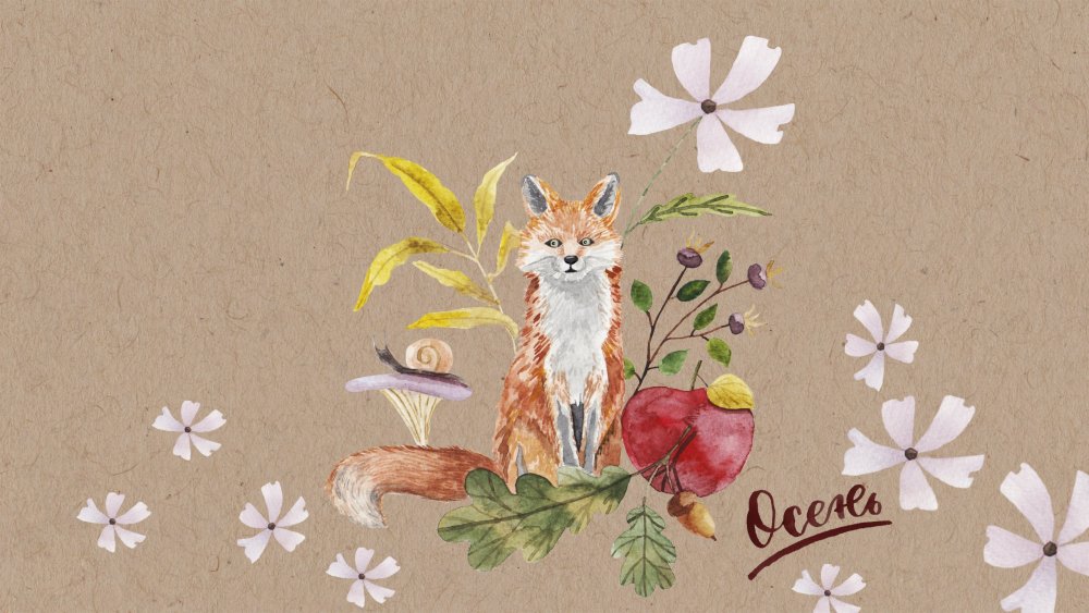 Милые иллюстрации