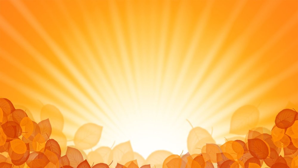 Паттерн зоомагазин