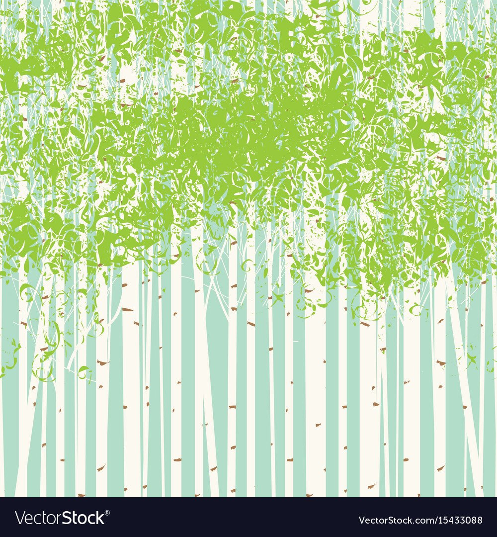 Березовый фон вектор