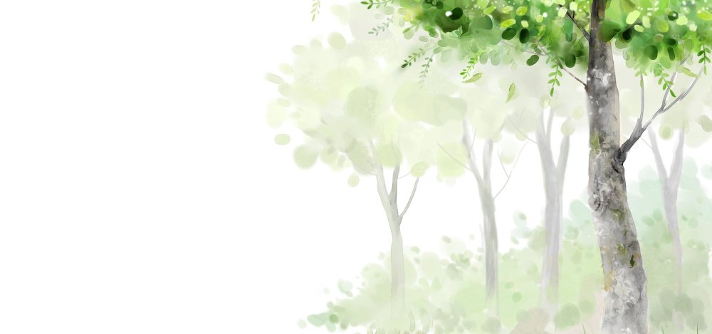 Фон для презентации береза