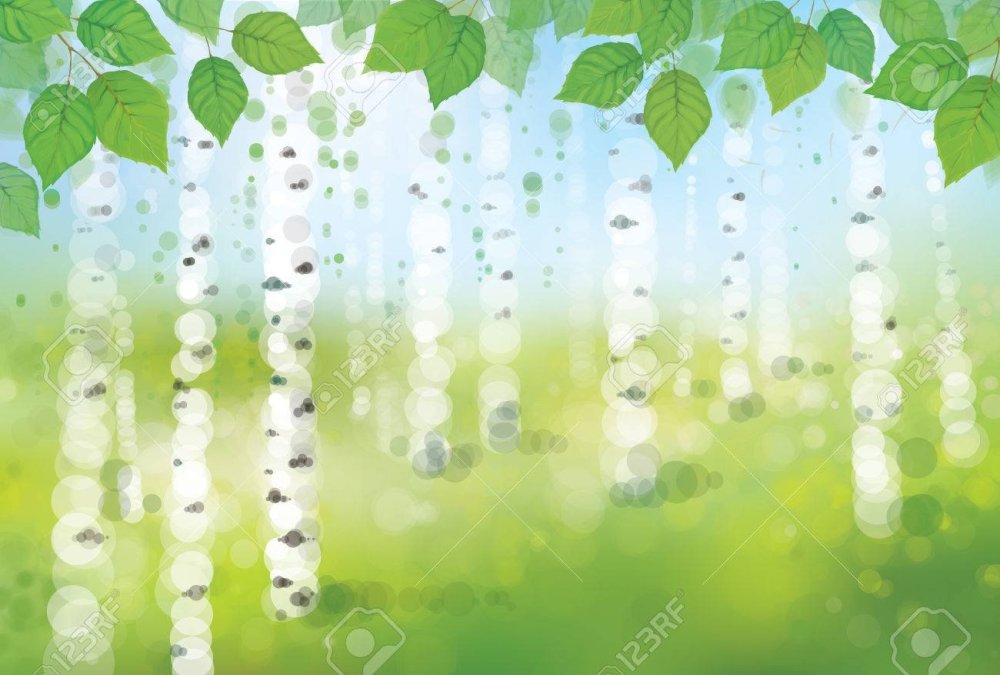 Фон для презентации береза