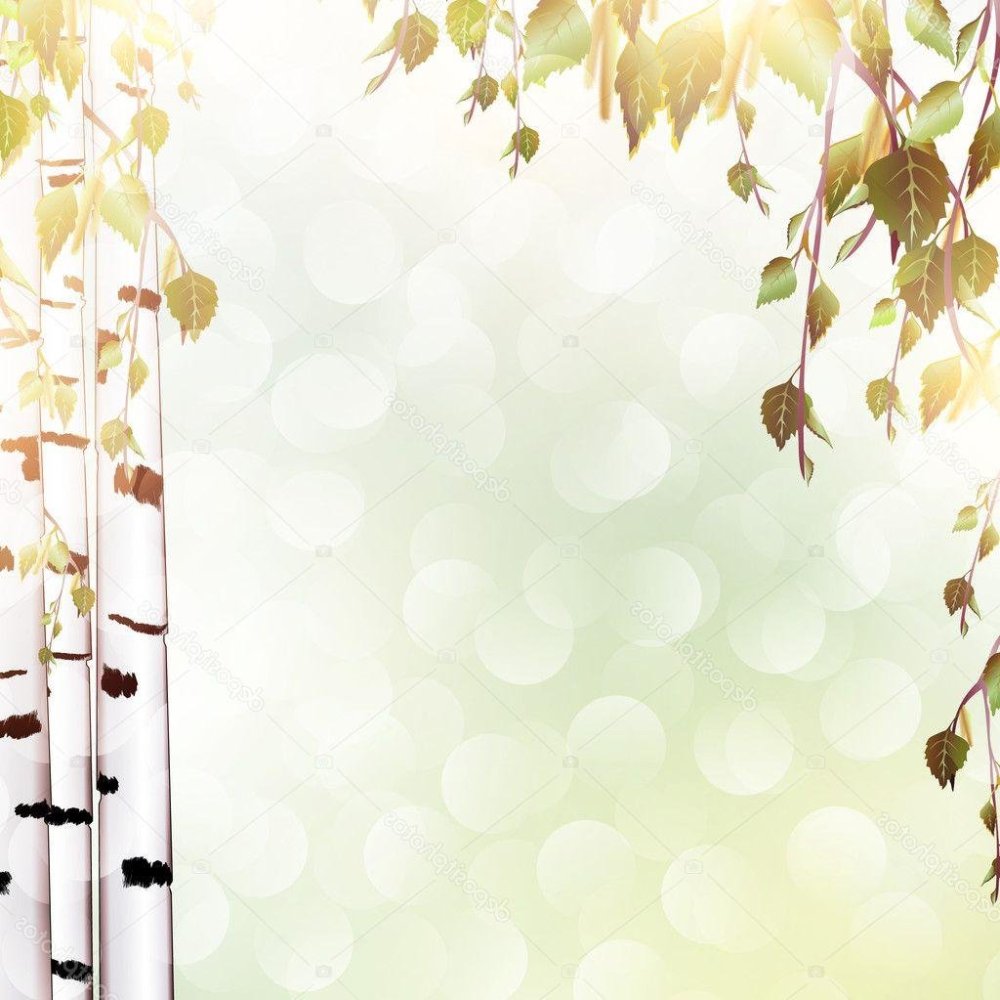 Фон березы