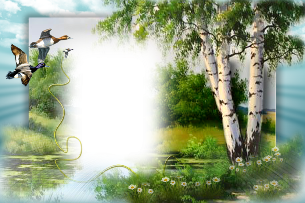 Русь белоствольная