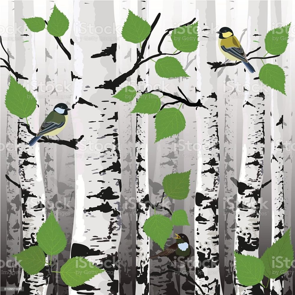 Нарисовать березку на стене