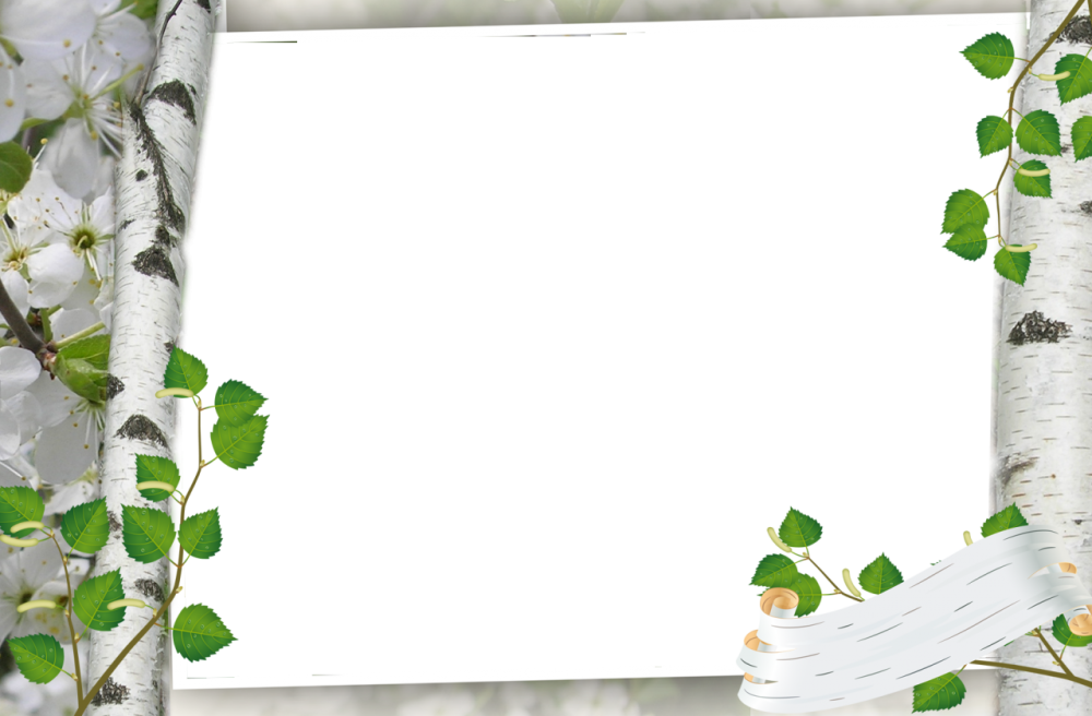 Рамка Березка