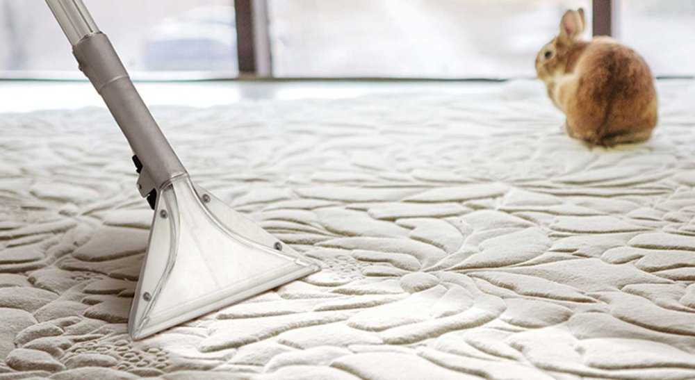 Мойка окон креатив