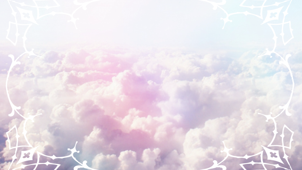 Суккулент Agave бирюзовый