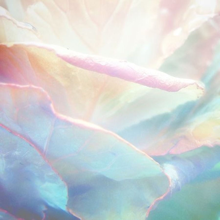 Обои пастельных тонов