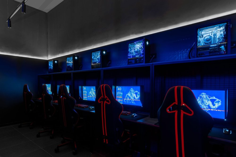 Гризли Кибер Арена