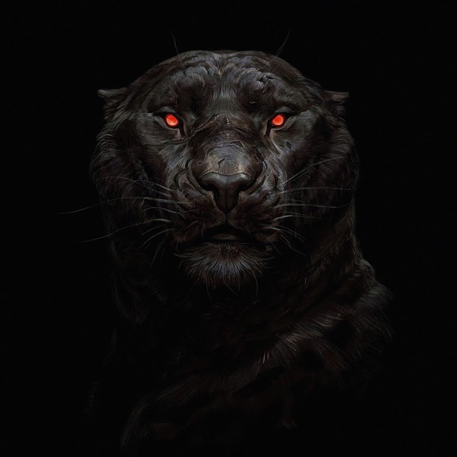 Пантеры любовь