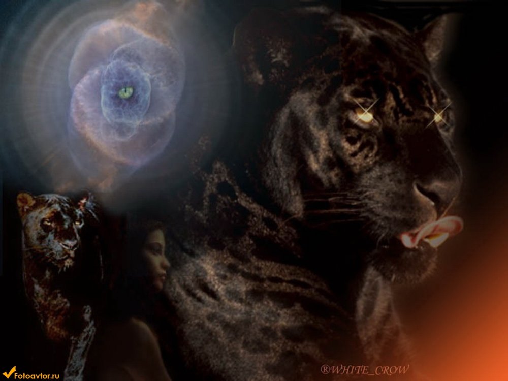 Синтвейв тигр