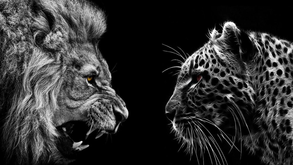 Черный Лев обои