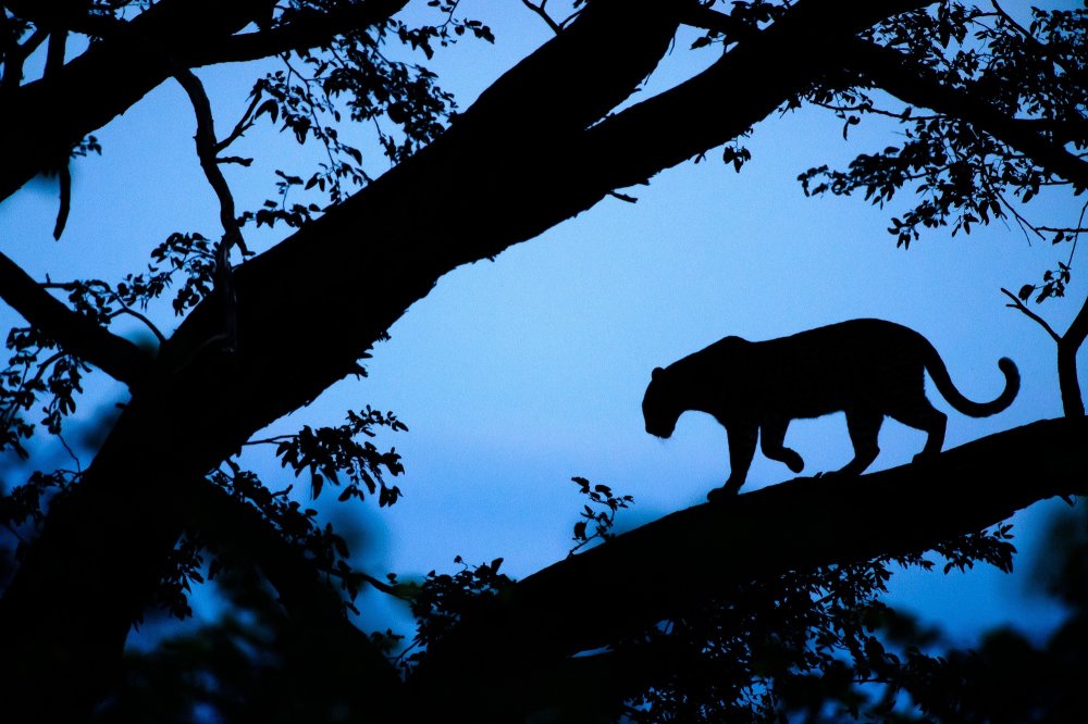 Обои на рабочий стол 4к