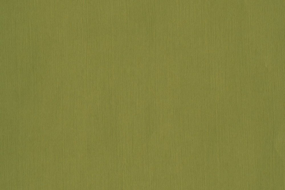 Фисташковый u6501