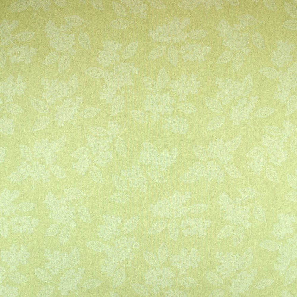 Фисташковый фон пастельный