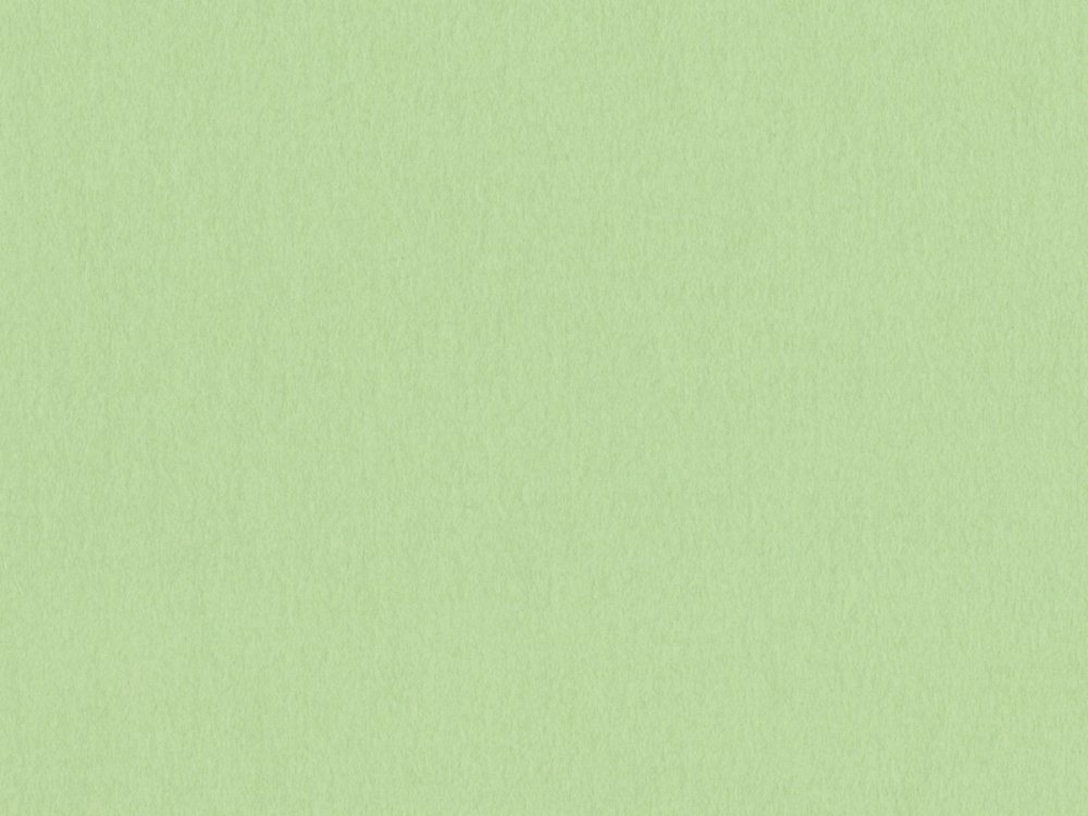 Фисташковый u6501