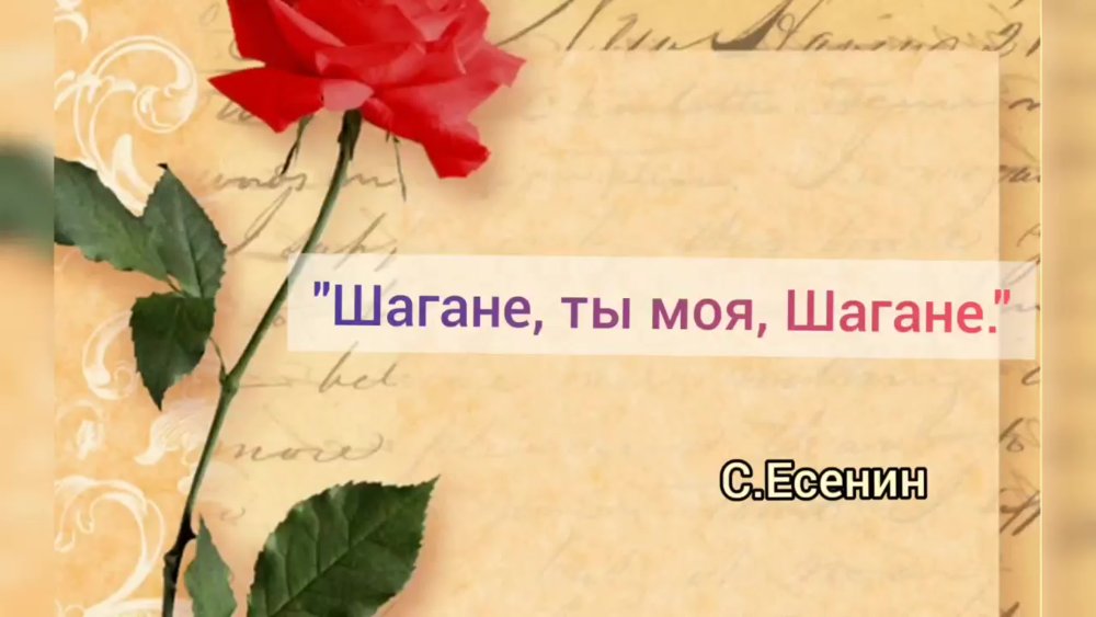 Стильный фон для поздравления