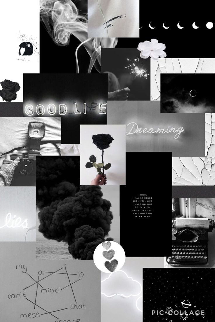 Каллы черные Эстетика