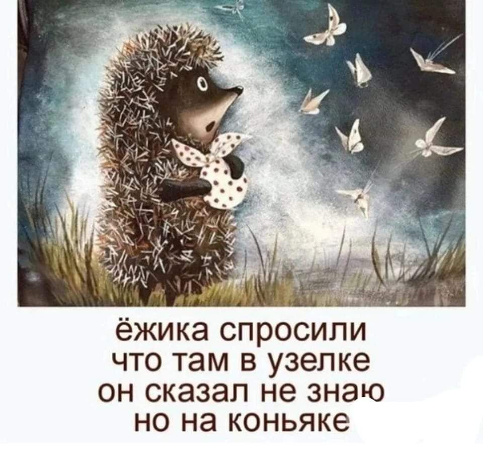 Мультик про Ёжика в школе