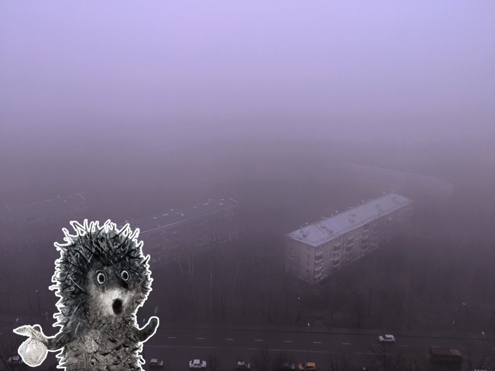 Ежик в тумане арт