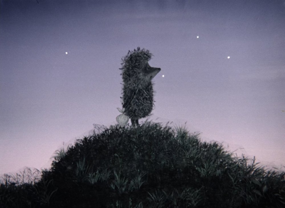 Ежик в тумане мультфильм 1975