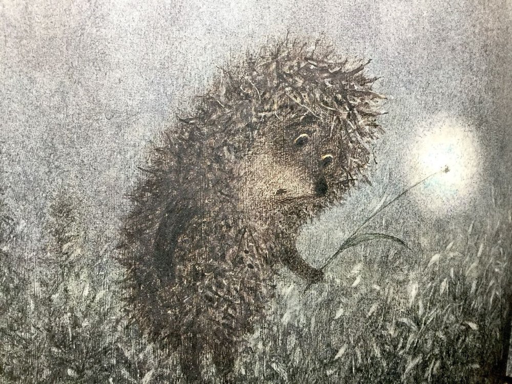 Картинки на рабочий стол Ежик