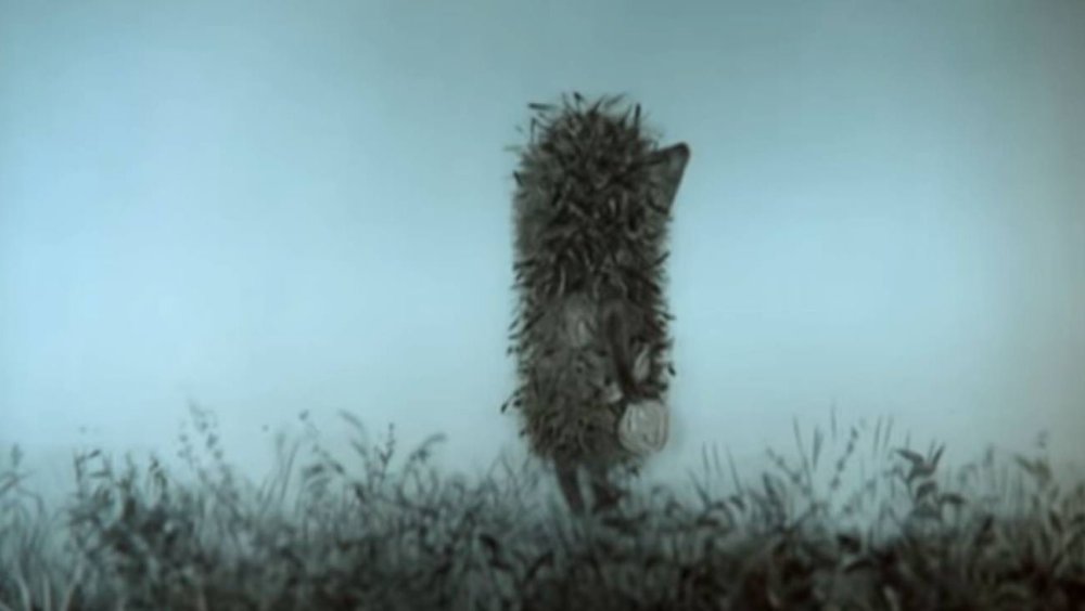 Высказывания из ежика в тумане