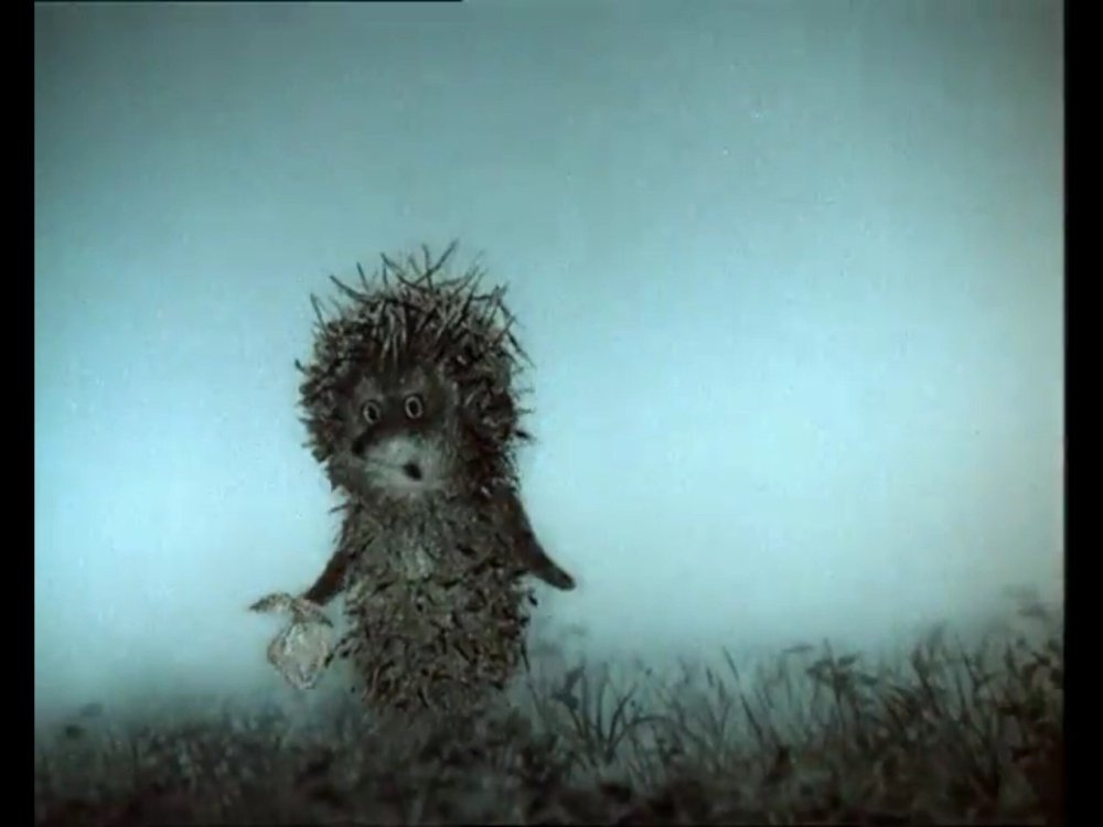 Ежик в тумане