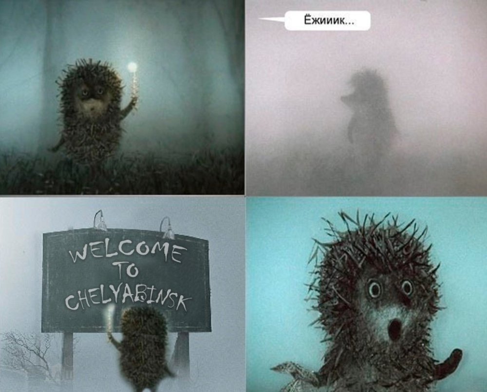 Ёжик в тумане прикол