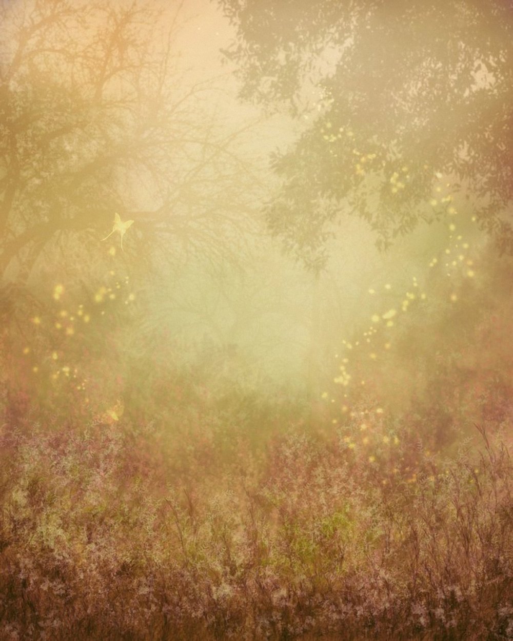 Задний фон для портрета