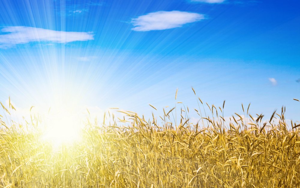 Фон деревня для детей