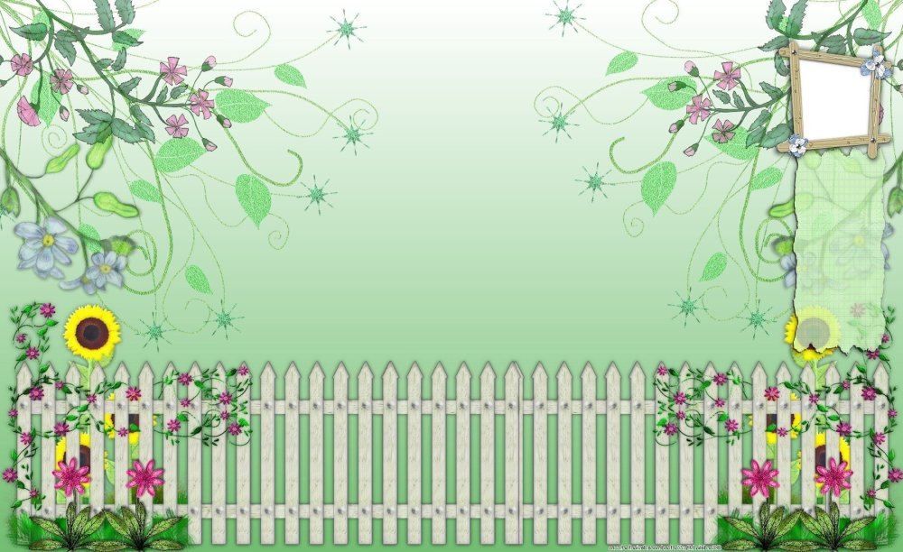 Баннер с подсолнухами